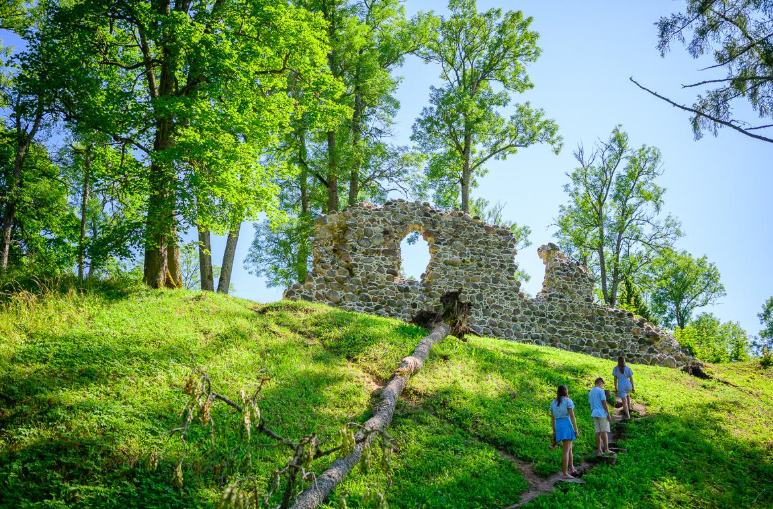 Helme Order Castle Ruins